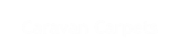 Caravan Carpets